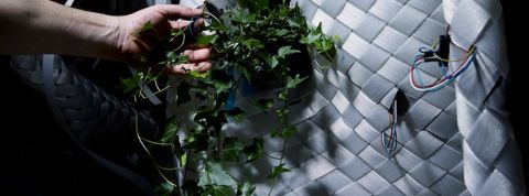 flora-robotica flora robotica