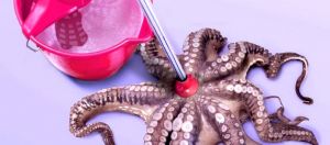 pieuvre serpillère