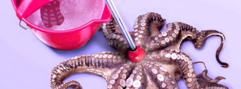pieuvre pieuvre serpillère