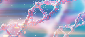 stockage information adn