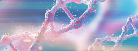 stockage information adn stockage information adn