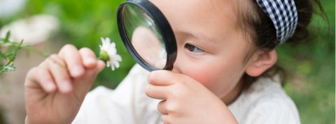 petite fille qui regarde une marguerite avec une loupe