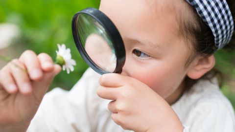 petite fille qui regarde une marguerite avec une loupe