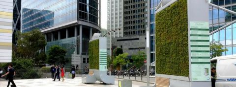 city-tree mur végétal dans la ville