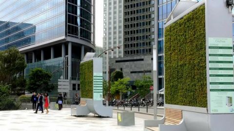 mur végétal dans la ville