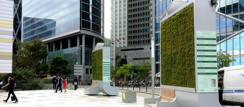 city-tree mur végétal dans la ville
