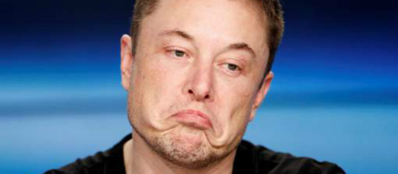 elon musk briques terre elon musk