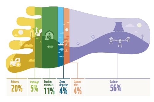 infographie empreinte écologique