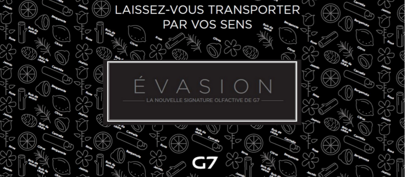 g7 g7 identité olfactive