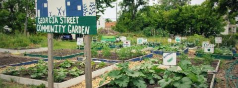 Georgia Street Community Collective-min Georgia Street Community Collective-min