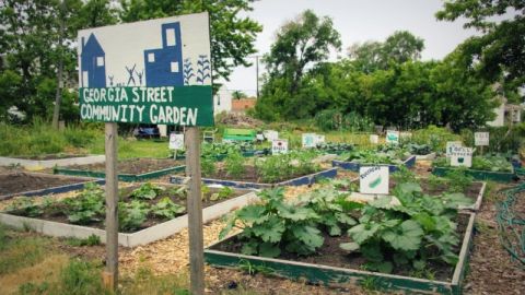 Georgia Street Community Collective-min