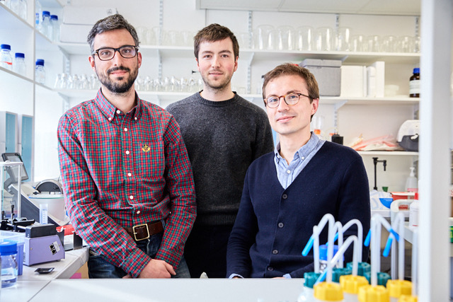 DNA Script start up <a href=