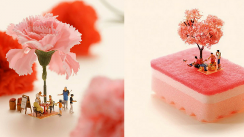 tanaka tatsuya benevolence