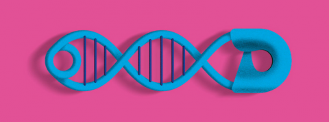 DNA Script startup biotech DNA Script startup biotech