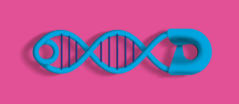 DNA Script startup biotech DNA Script startup biotech