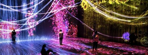 teamlab-villette exposition d'art numérique