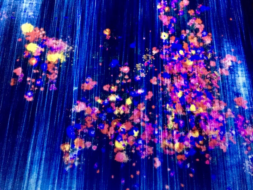 exposition teamLab à la Villette