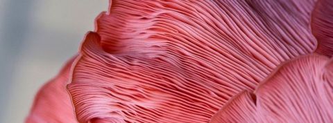 bio1 bio1