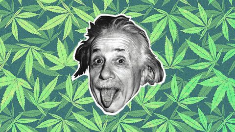 cannabis-sciences albert einstein