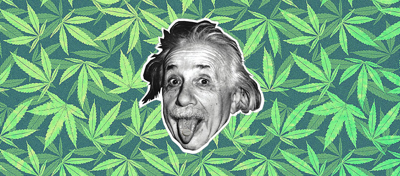cannabis-sciences albert einstein