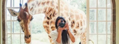 instagram devoile son algorithme instagram devoile son algorithme