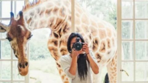 instagram devoile son algorithme