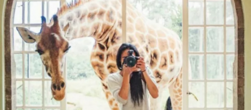 instagram devoile son algorithme instagram devoile son algorithme