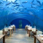 Le restaurant ITHAA propose de manger sous un aquarium