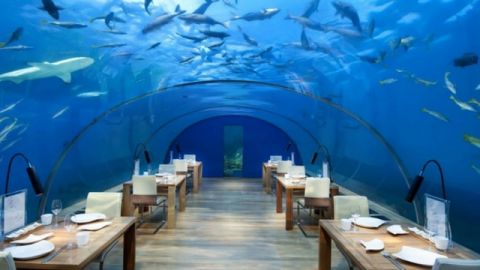 Le restaurant ITHAA propose de manger sous un aquarium