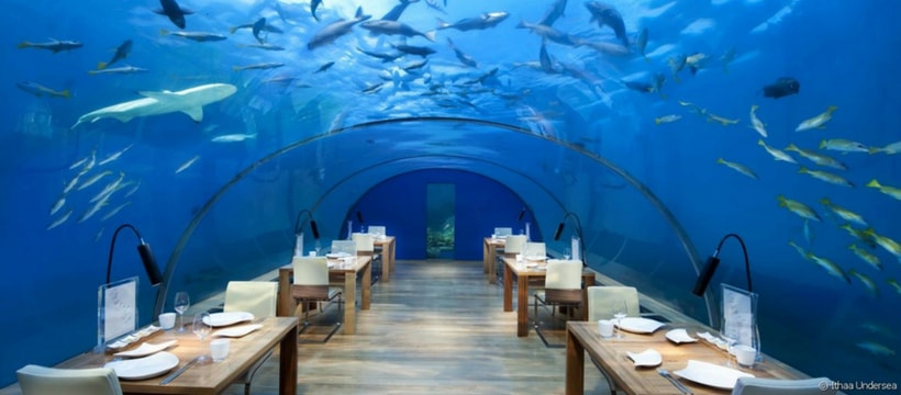 ITHAA Le restaurant ITHAA propose de manger sous un aquarium