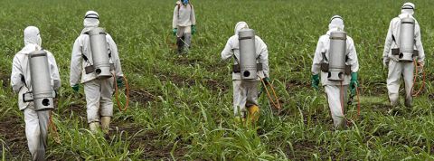 monsanto bayer roundup Des hommes pulvérisent du glyphosate dans les champs