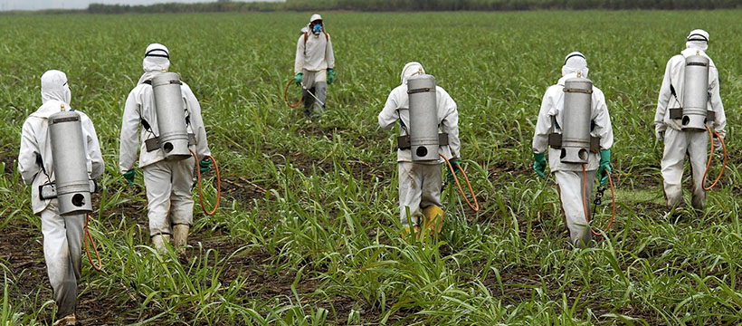 monsanto bayer roundup Des hommes pulvérisent du glyphosate dans les champs