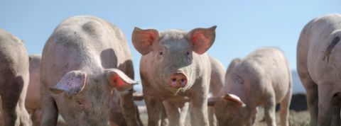 top des articles les plus twittes top des articles les plus twittes