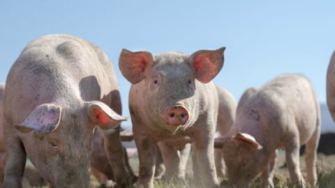 top des articles les plus twittes