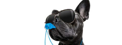 audiences coupe du monde 2018 télévision