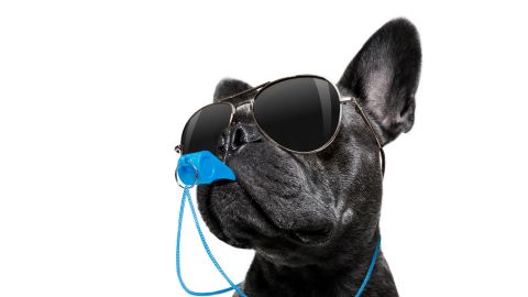 audiences coupe du monde 2018 télévision