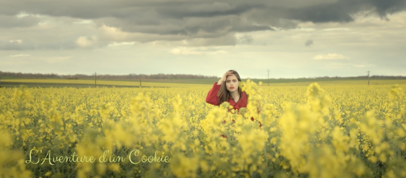 cookie aventure d'un cookie