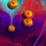 exposition macro peinture