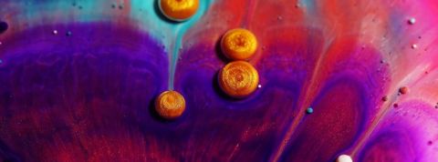 expo-peinture-macro exposition macro peinture