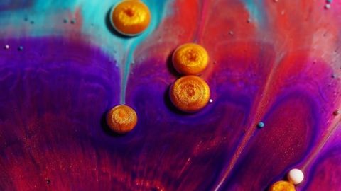 exposition macro peinture