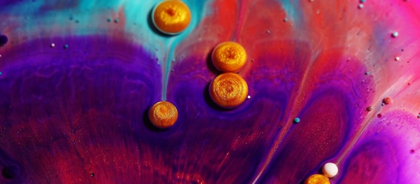 expo-peinture-macro exposition macro peinture