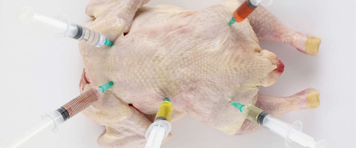 Une IA va bientôt remplacer les test sur les animaux Une IA va bientôt remplacer les test sur les animaux