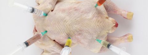 Une IA va bientôt remplacer les test sur les animaux Une IA va bientôt remplacer les test sur les animaux