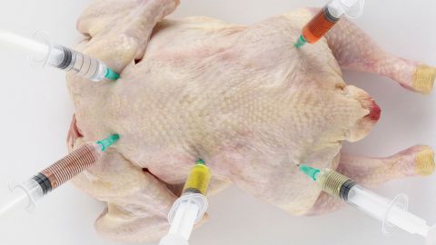 Une IA va bientôt remplacer les test sur les animaux