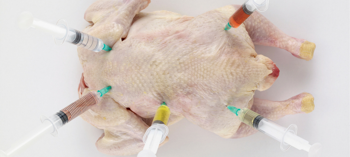 Une IA va bientôt remplacer les test sur les animaux Une IA va bientôt remplacer les test sur les animaux