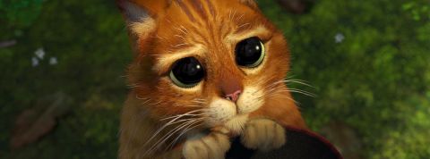 linkedin communication parodiee chat potté