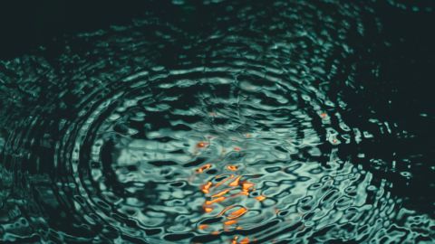 Une entreprise qui place l'innovation au service de l'eau