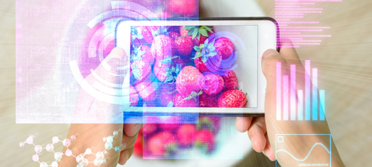 Expérience client : arrêtons avec la course au phygital ! - L'ADN une application en réalité augmentée