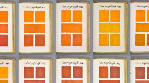 nuancier de couleurs orange