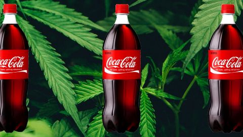 Des bouteilles de Coca-Cola devant des feuilles de cannabis